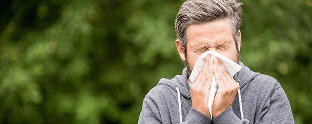 Ways to Strengthen your Immune System Against Spring Allergies - Sporto by Macho